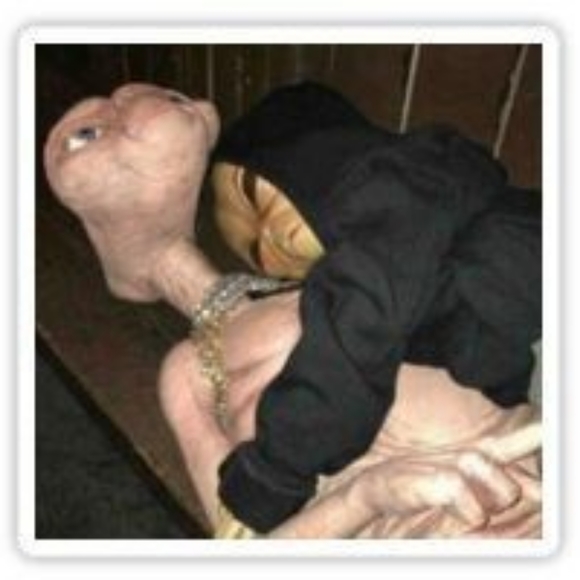 Meet your Posher, David - Picture 4 of 11